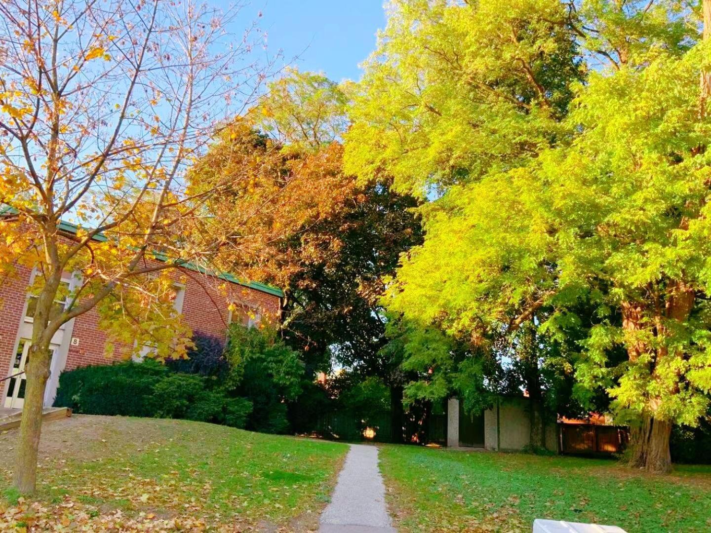 טורונטו Leaside Garden Guesthouse מראה חיצוני תמונה